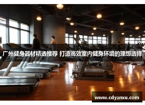 广州健身器材精选推荐 打造高效室内健身环境的理想选择