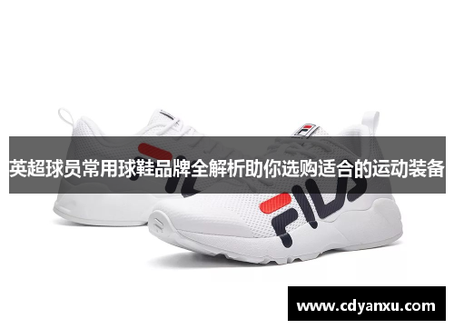 英超球员常用球鞋品牌全解析助你选购适合的运动装备