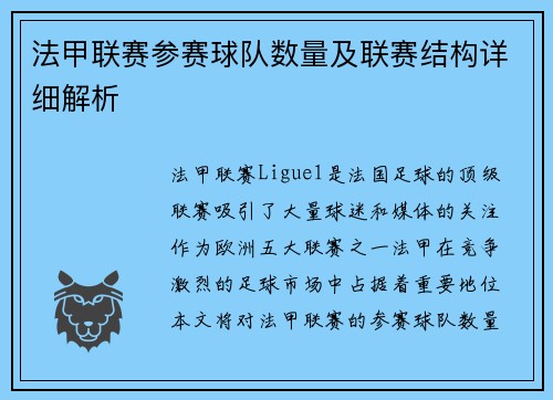 法甲联赛参赛球队数量及联赛结构详细解析