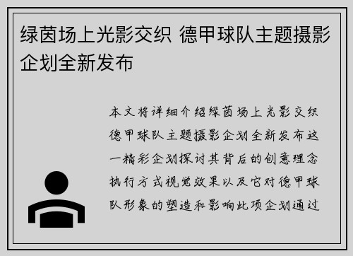 绿茵场上光影交织 德甲球队主题摄影企划全新发布