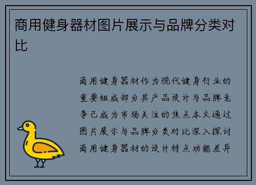 商用健身器材图片展示与品牌分类对比